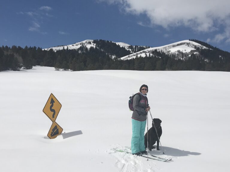 cross country skiing with our dog